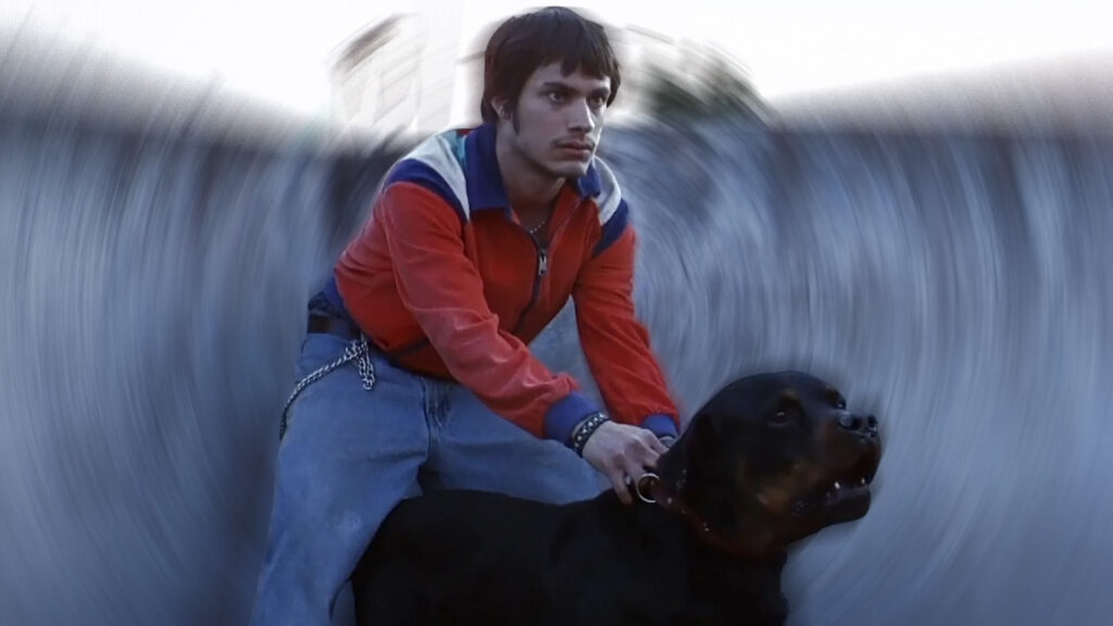 Amores perros