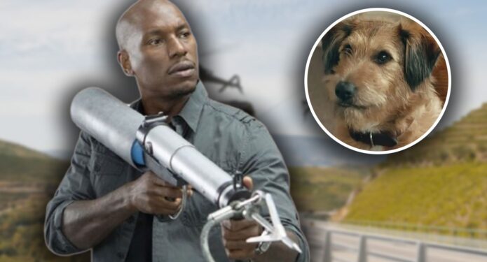 Tyrese Gibson orden de arresto perros