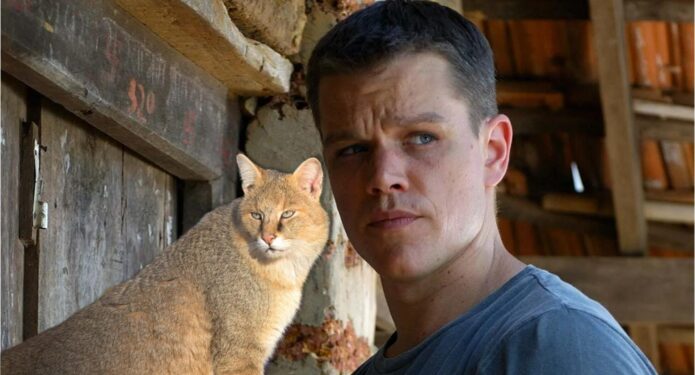 matt damon gato