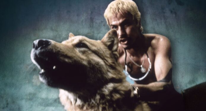 Cuidado de animales en Amores perros