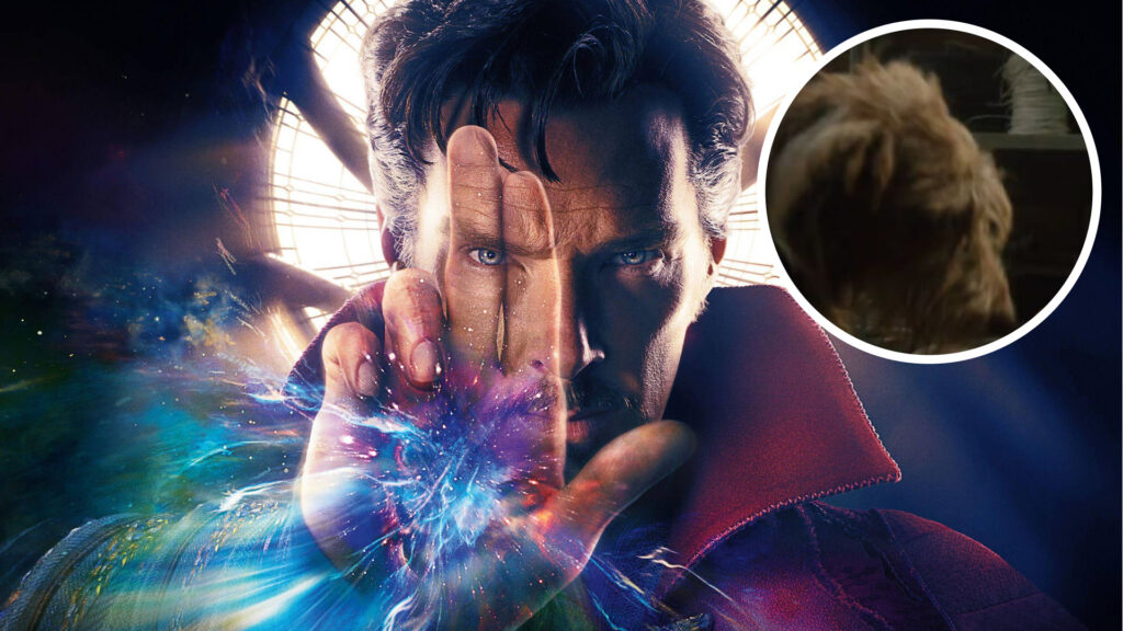 Dr. Strange Perrito