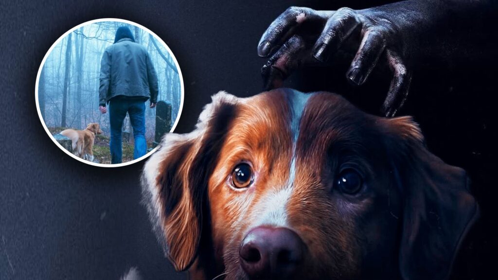 Good Boy final explicado