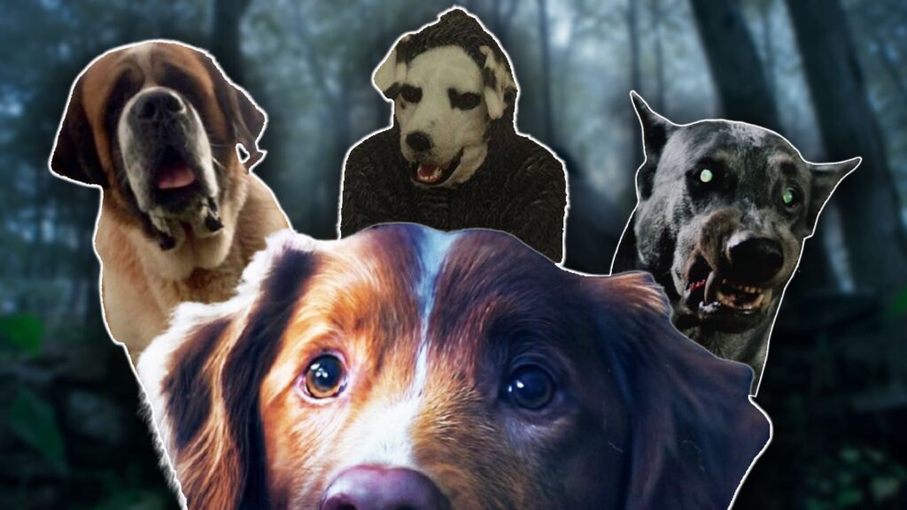 Películas de terror con perritos