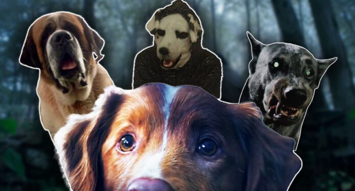 Películas de terror con perritos