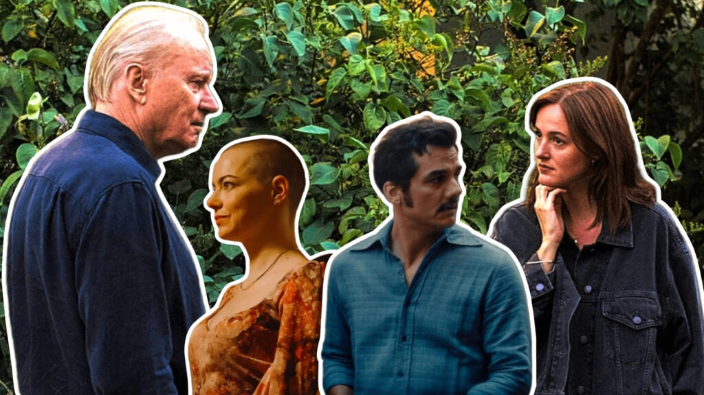 Películas imperdibles del FICM 2025