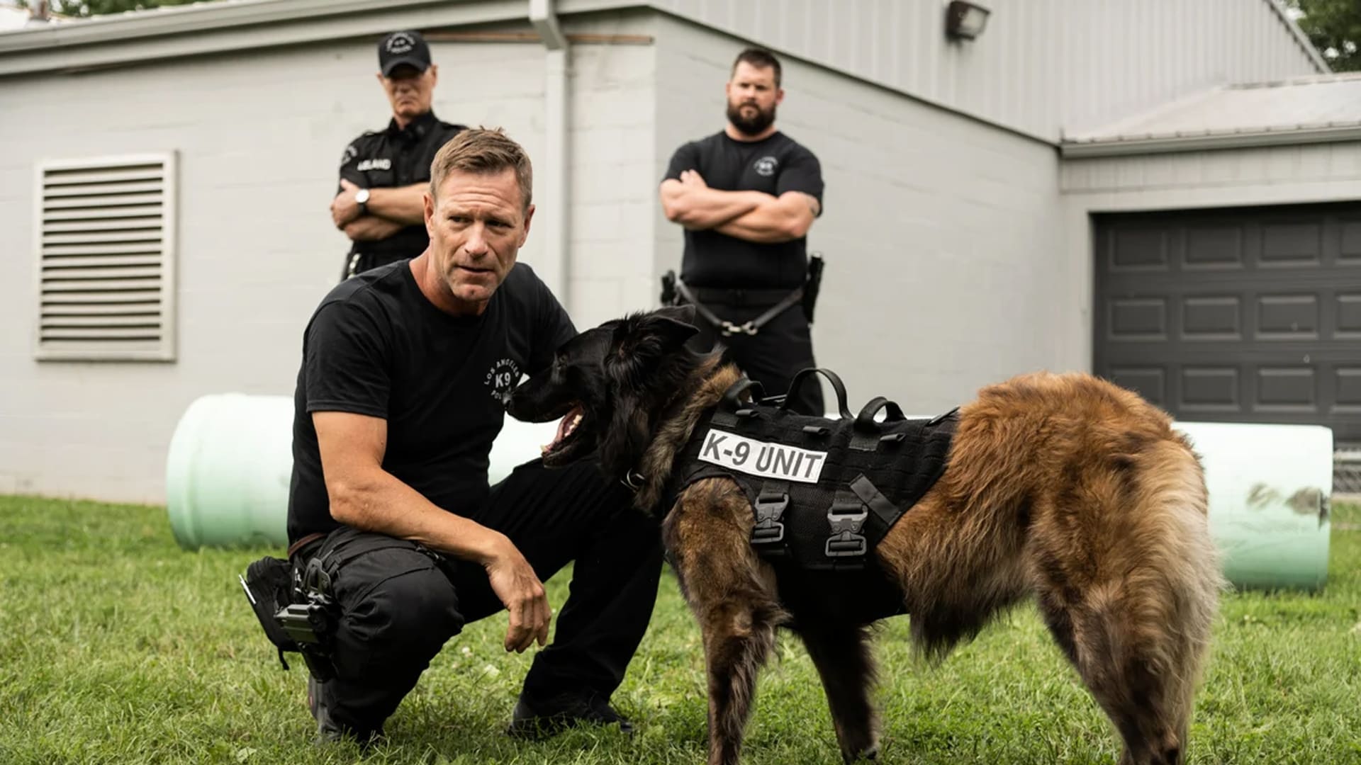 Perro guardián, cartelera cinépolis noviembre