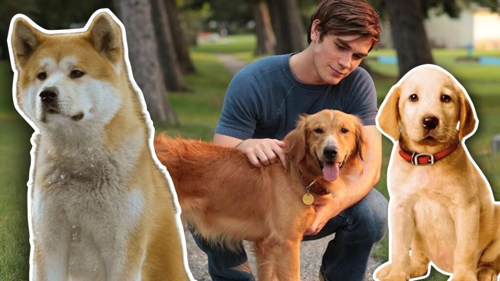Películas de perritos para llorar