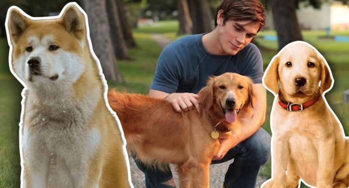 Películas de perritos para llorar