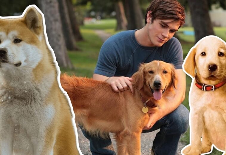 Películas de perritos para llorar