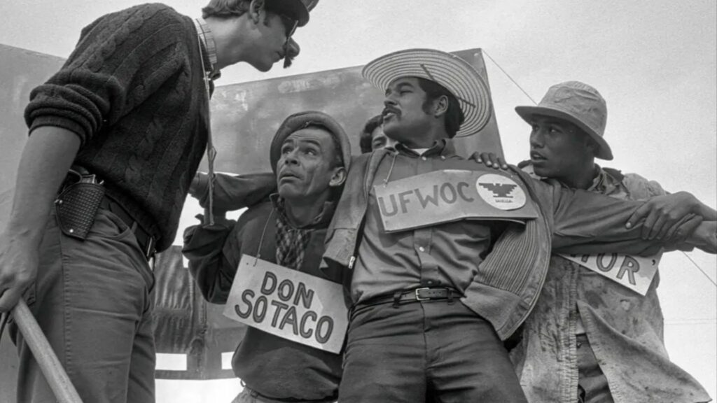Reseña American Pachuco