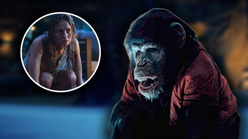 Primate final explicado