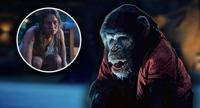 Primate final explicado