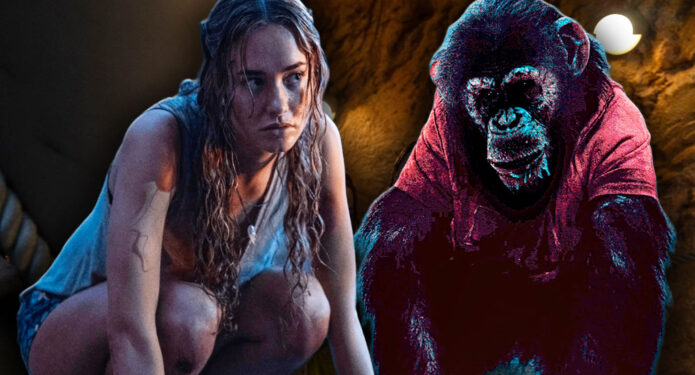 Primate Ben chimpancé