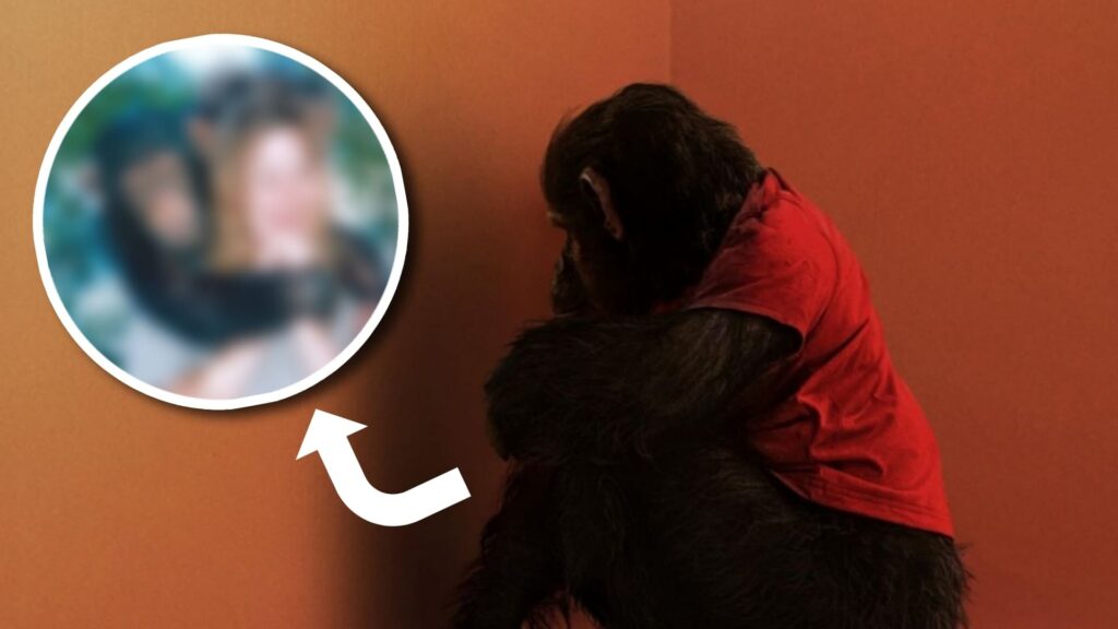 Primate se inspiró en una historia real