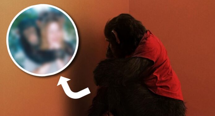Primate se inspiró en una historia real