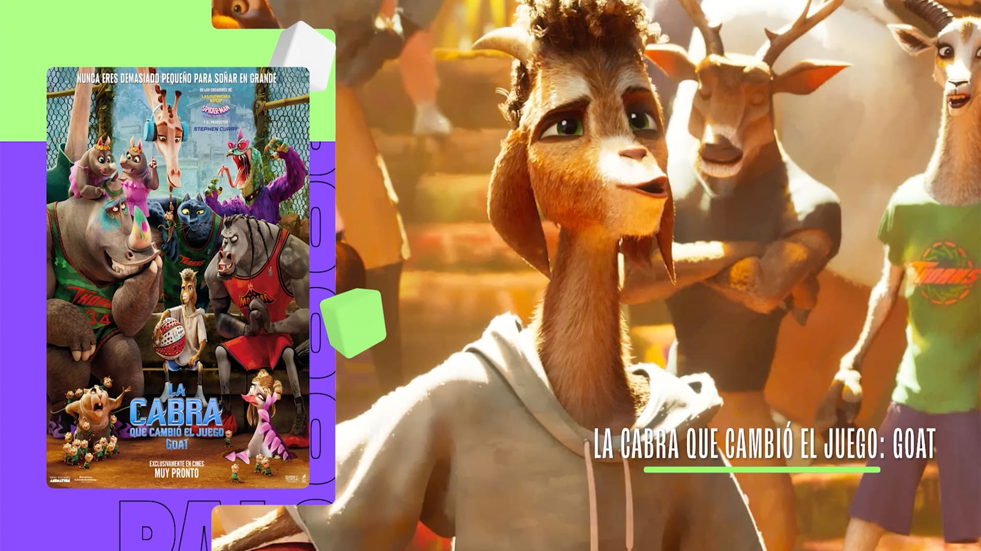 Goat película cabra Visa