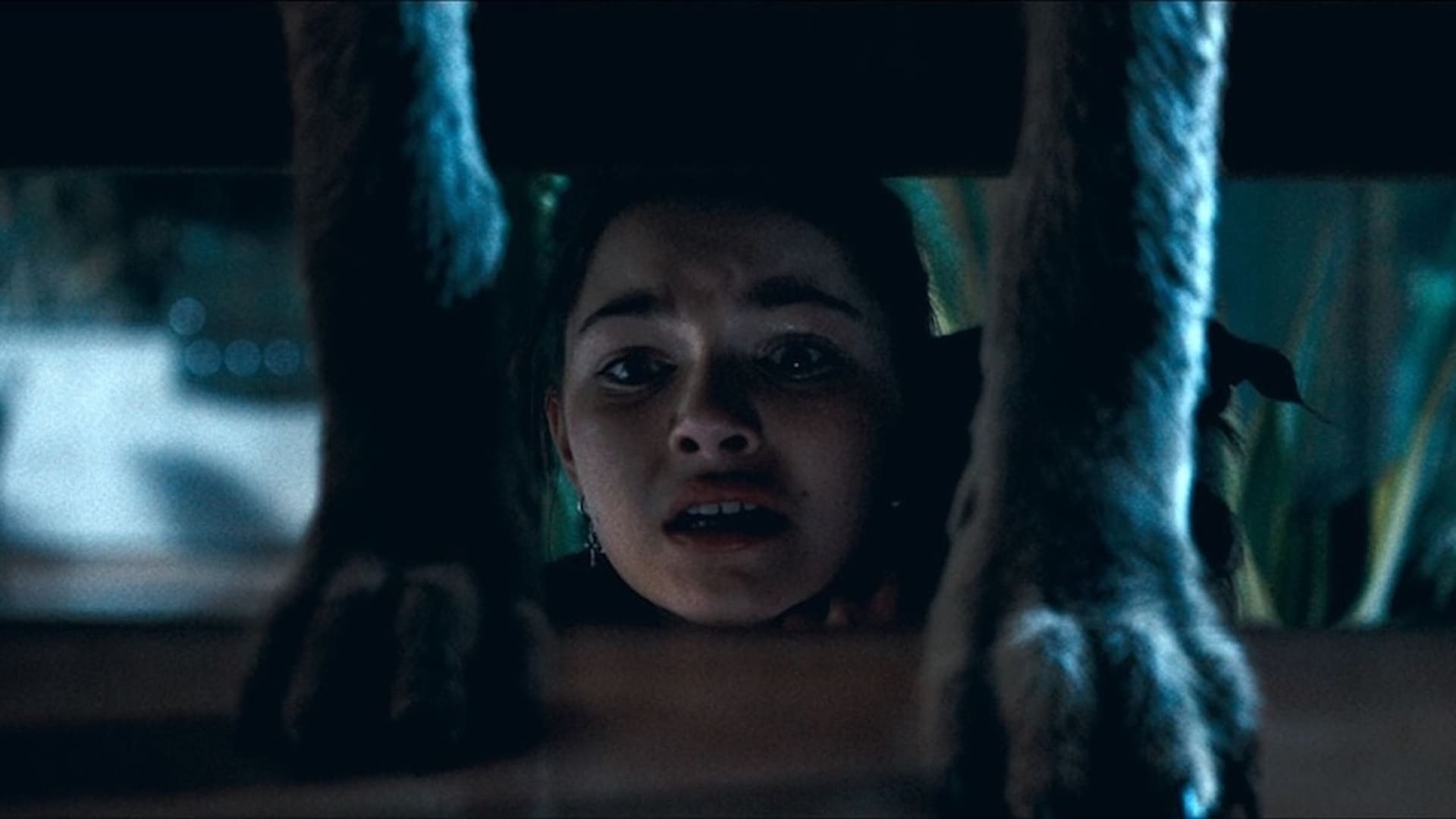 Coyotes película terror
