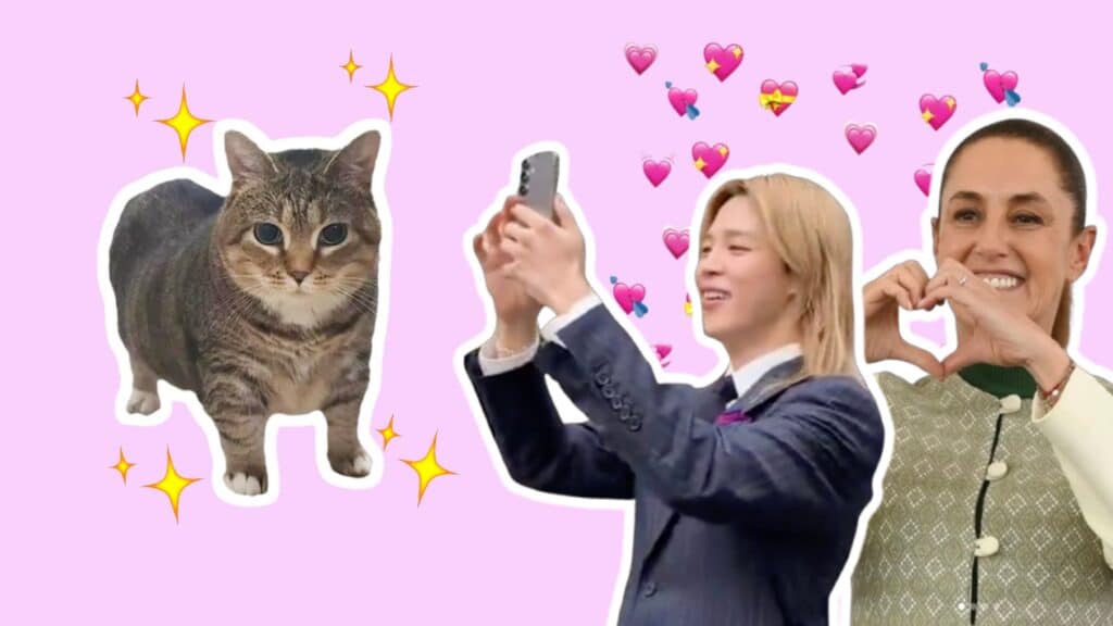 BTS Claudia Sheinbaum gatos Palacio Nacional