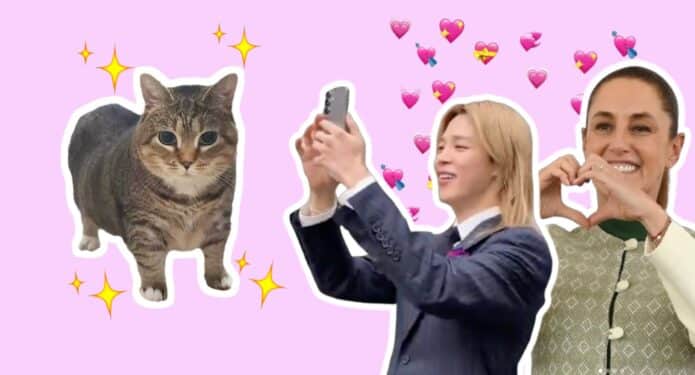 BTS Claudia Sheinbaum gatos Palacio Nacional