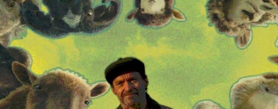 ovejas detectives reseña