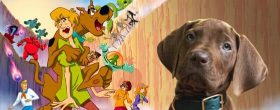 Cronología Sccoby- Doo