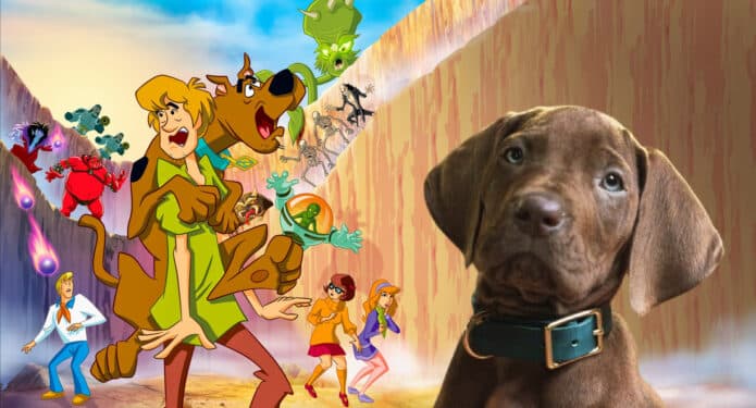 Cronología Sccoby- Doo