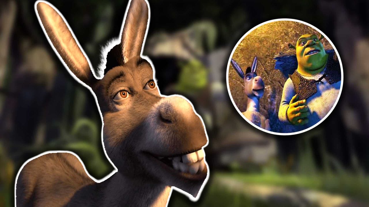 Burro película spin-off