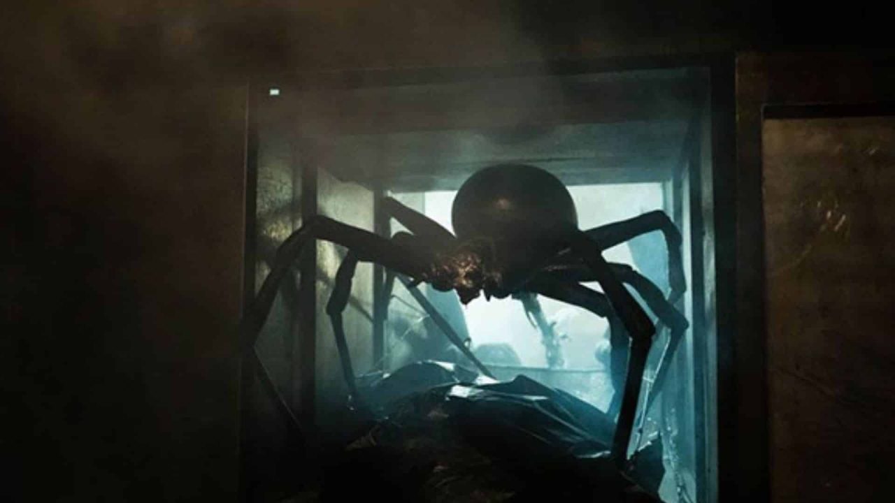 Sting Araña asesina final explicado