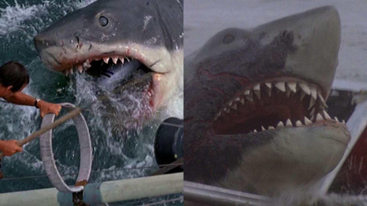 Tiburón y sus secuelas películas