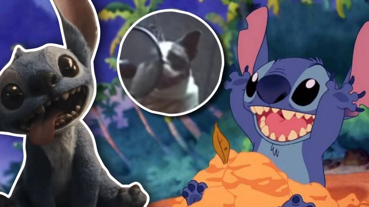 Stitch fue doblado por un perro